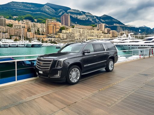 ESCALADE